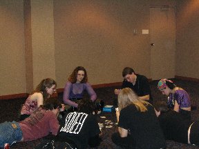 Killer Bunnies players